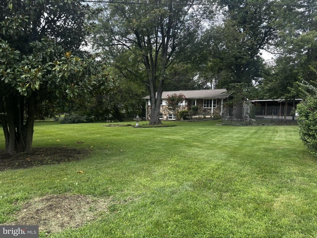 25339 Rainbow Ranch Lane - Photo 1