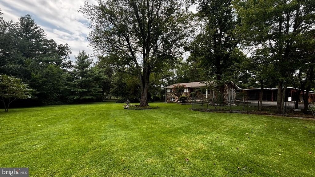 25339 Rainbow Ranch Lane - Photo 2