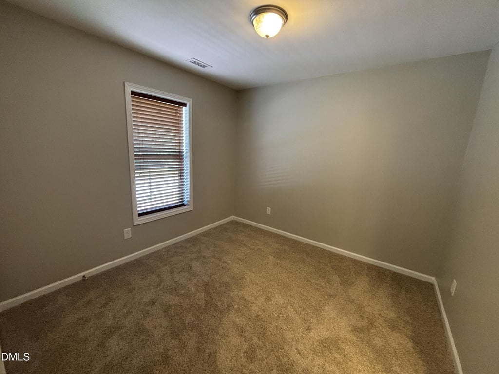 438 Roanoke Drive - Photo 64