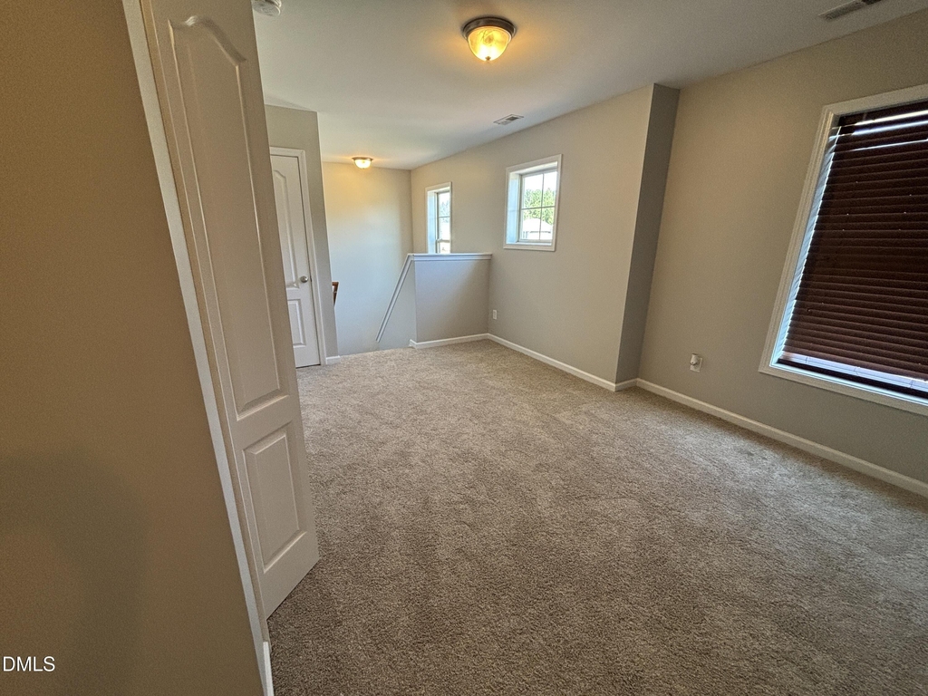438 Roanoke Drive - Photo 53