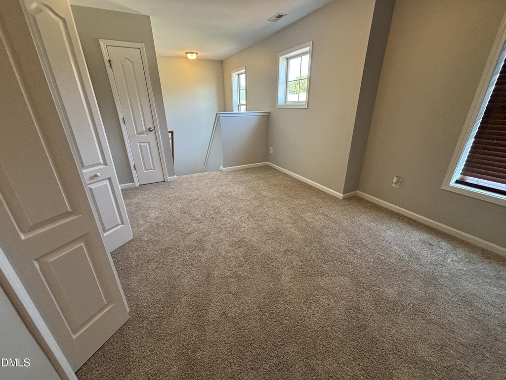 438 Roanoke Drive - Photo 54