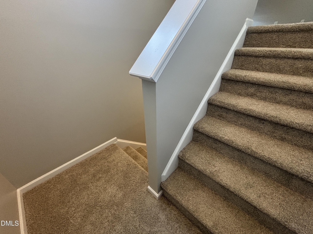 438 Roanoke Drive - Photo 49