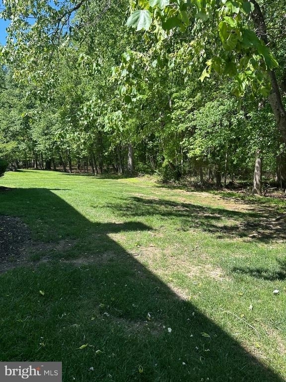 159 Wyndham - Photo 23