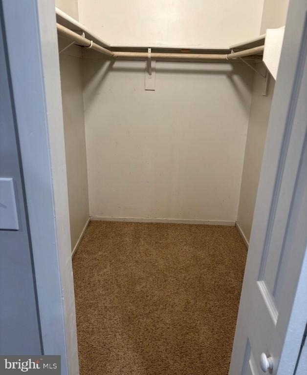 8619 Cipriano Springs Court - Photo 12