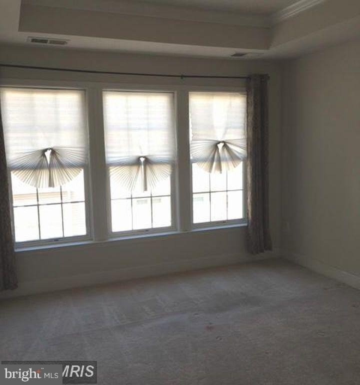 12838 Ethel Rose Way - Photo 4