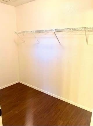 10616 Mellow Mdws - Photo 15