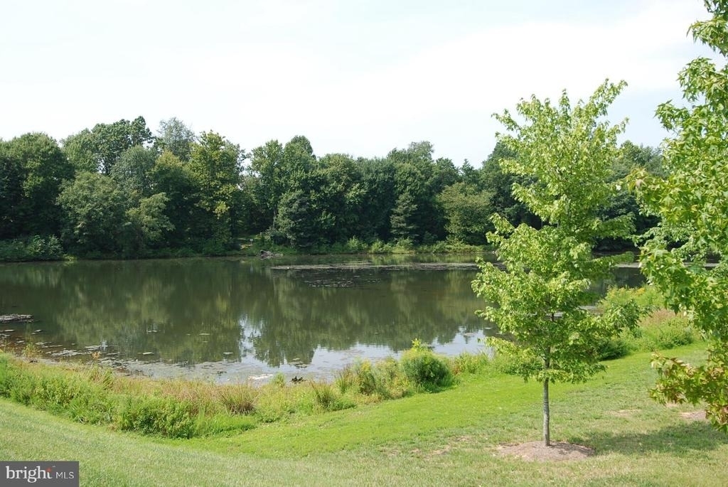 151 Chevy Chase Street - Photo 17