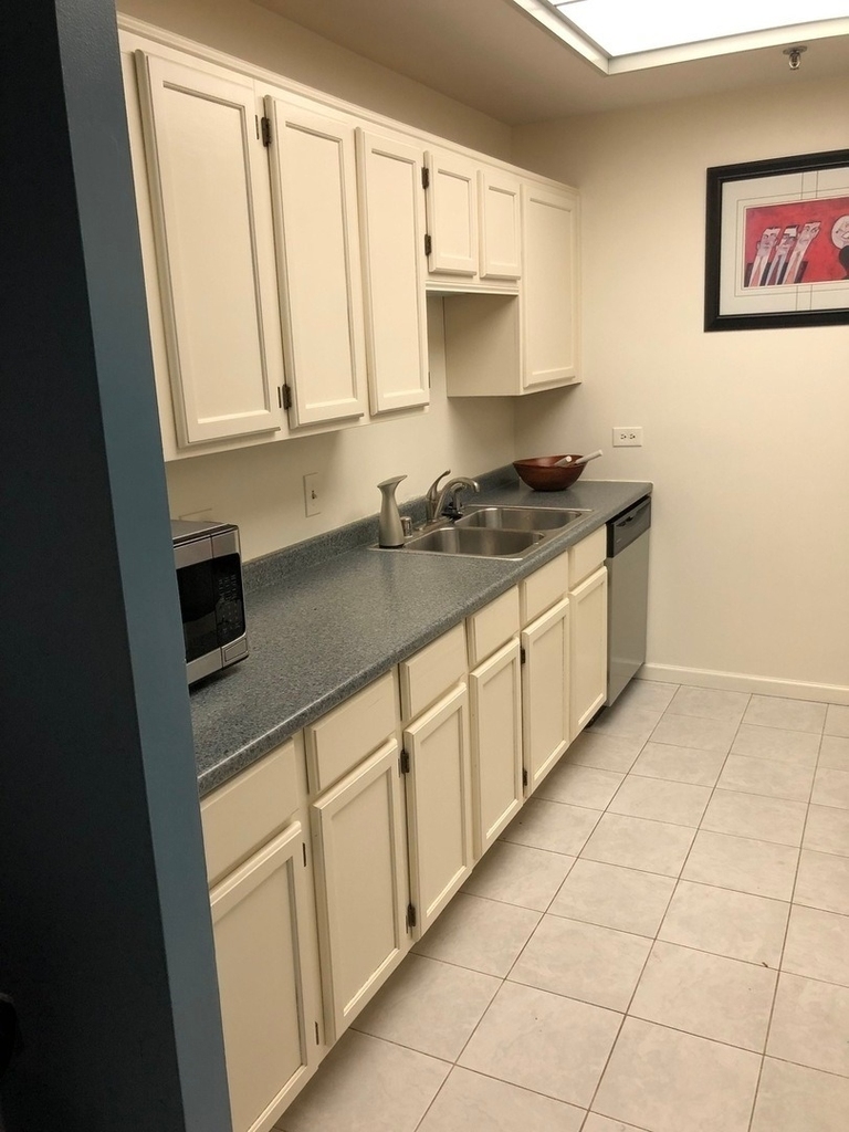 680 N Lake Shore Drive - Photo 7