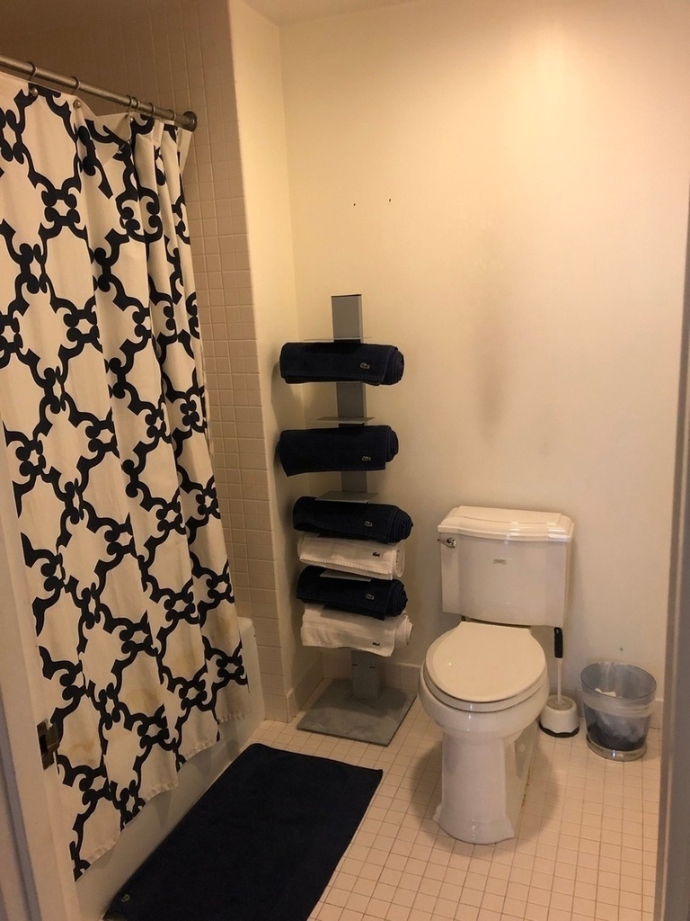 680 N Lake Shore Drive - Photo 11