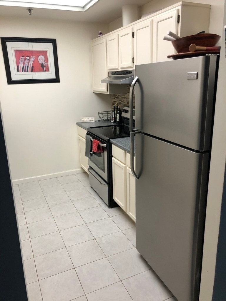 680 N Lake Shore Drive - Photo 6