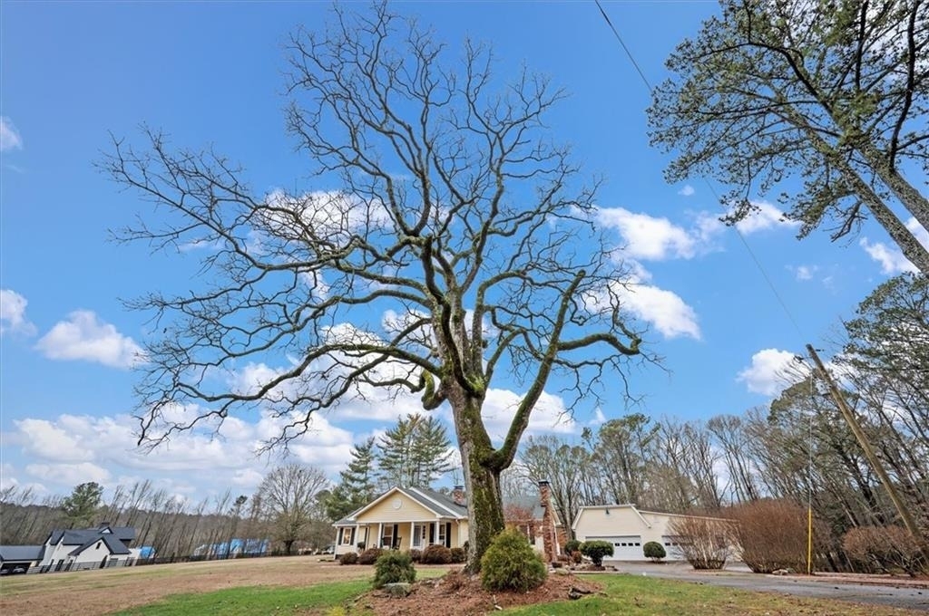 14605 Cogburn Road - Photo 2