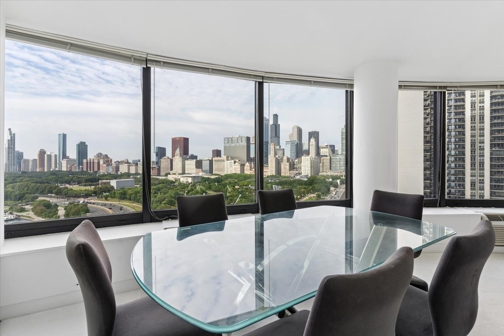 155 N Harbor Drive - Photo 24