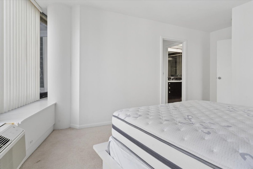 155 N Harbor Drive - Photo 16