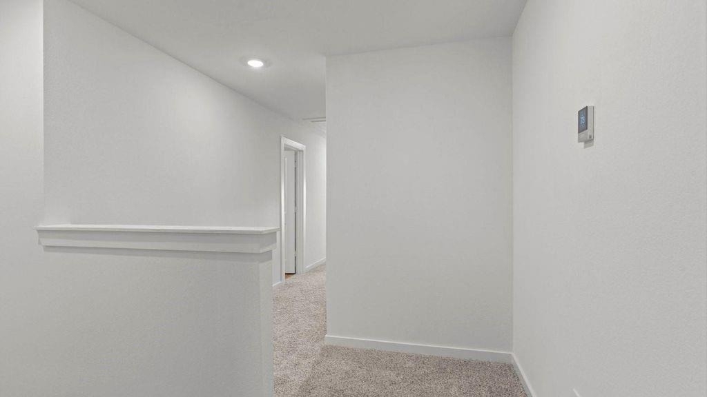 3562 Lovebird Lane - Photo 8