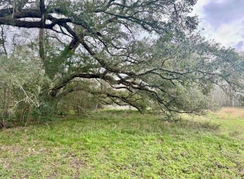 327 County Road 735 - Photo 15