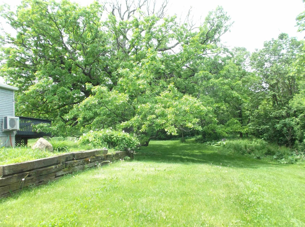 2222 Ferry - Photo 5