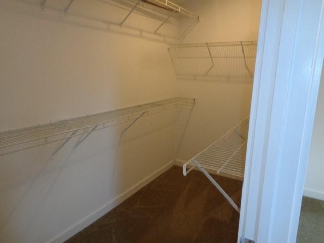 117 Willard Street - Photo 17