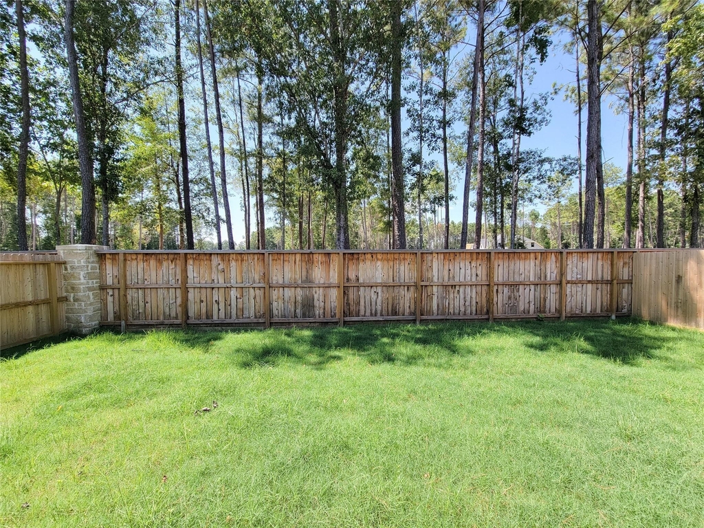 22282 Junction Peak - Photo 28