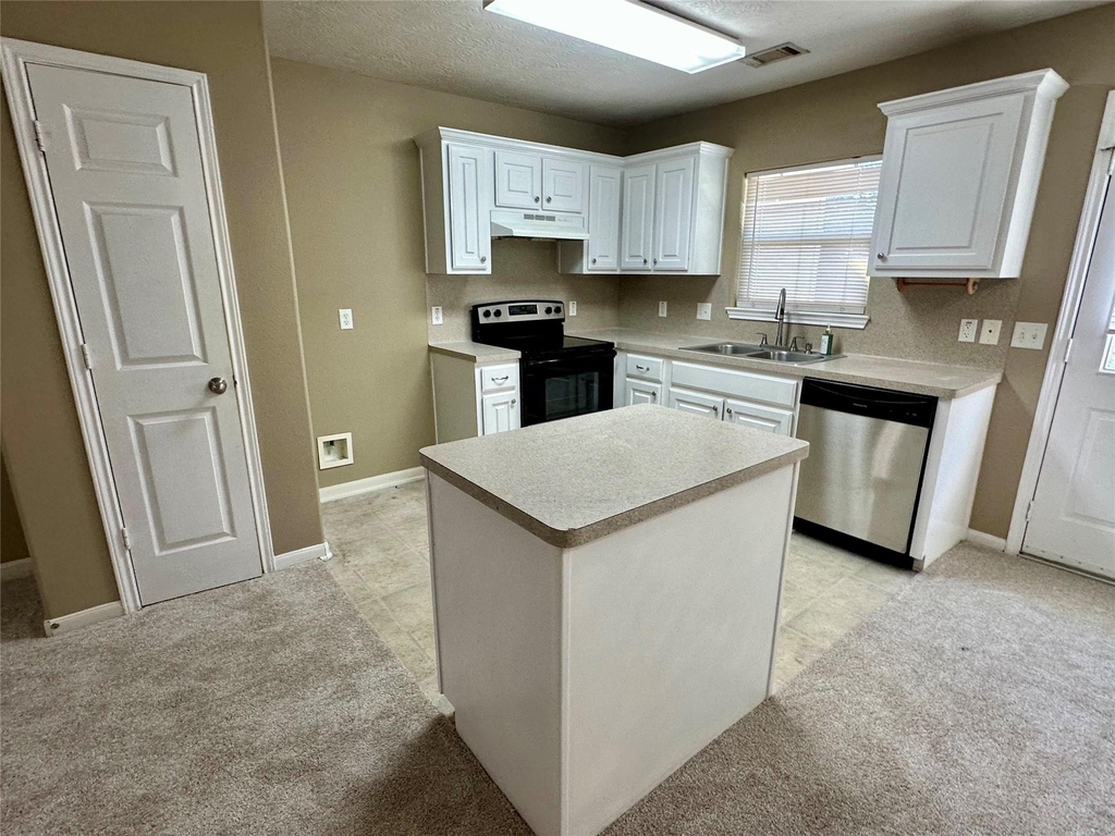 4906 Comal River Loop - Photo 1