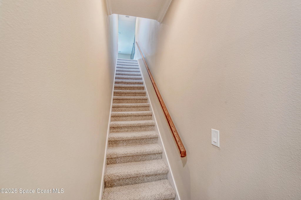 7137 Vilano Lane - Photo 25