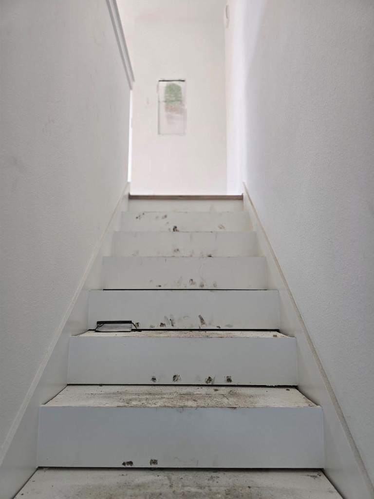 1206 Schweikhardt Street - Photo 12
