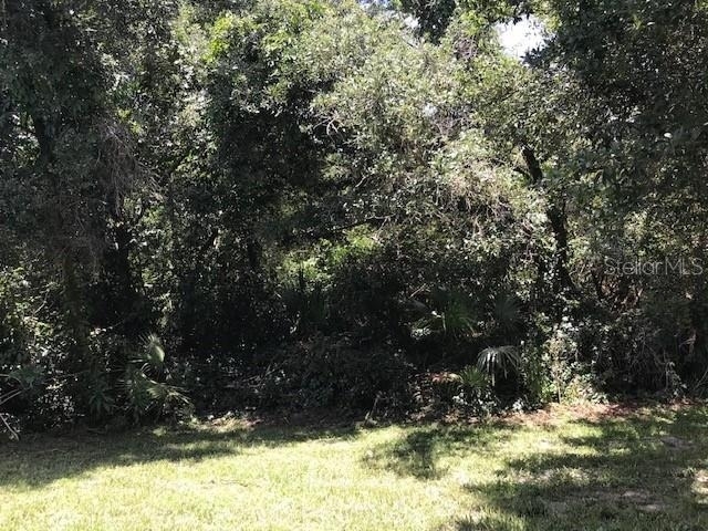 3078 Verbena Drive - Photo 27