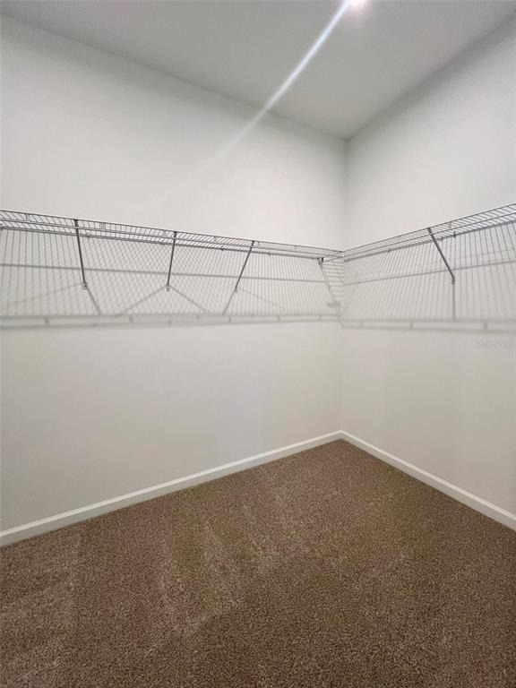 3497 Banana Shrub Boulevard - Photo 27
