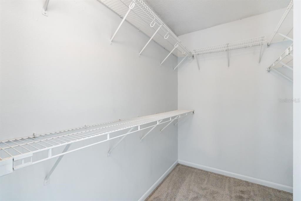 8215 Sun Spring Circle - Photo 10