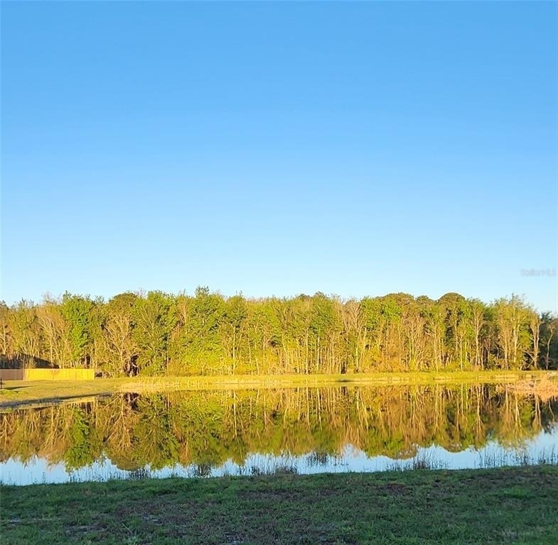 5418 Hollow Birch Drive - Photo 13