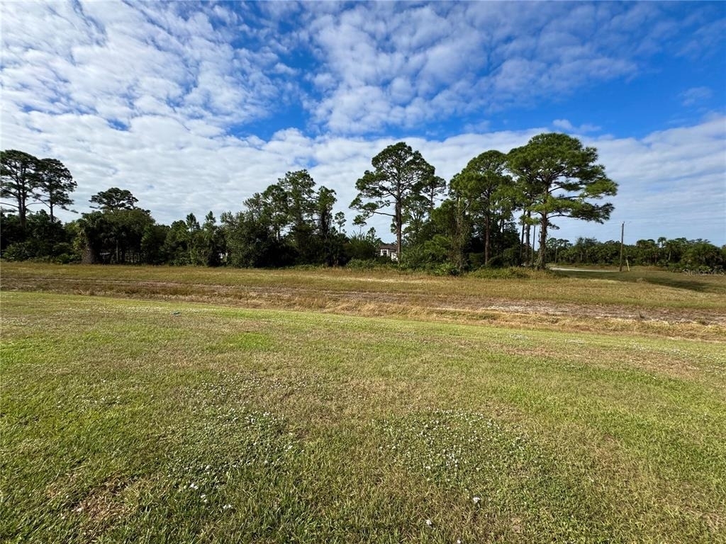 5029 W Hummingbird Drive - Photo 12
