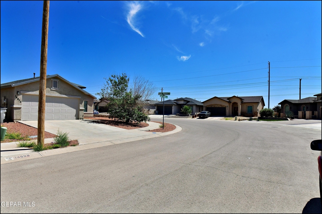 14972 Louis Baudoin Court - Photo 41