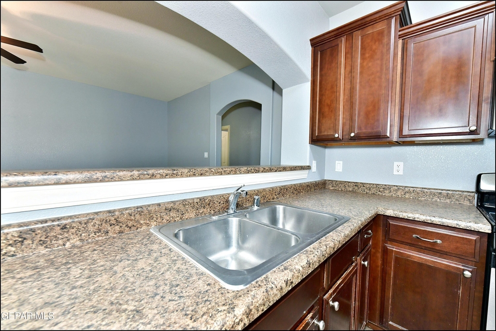 12569 Wolf Berry Drive - Photo 19