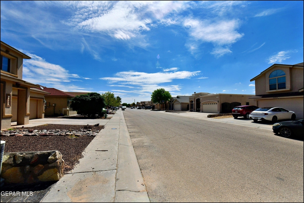 12569 Wolf Berry Drive - Photo 37