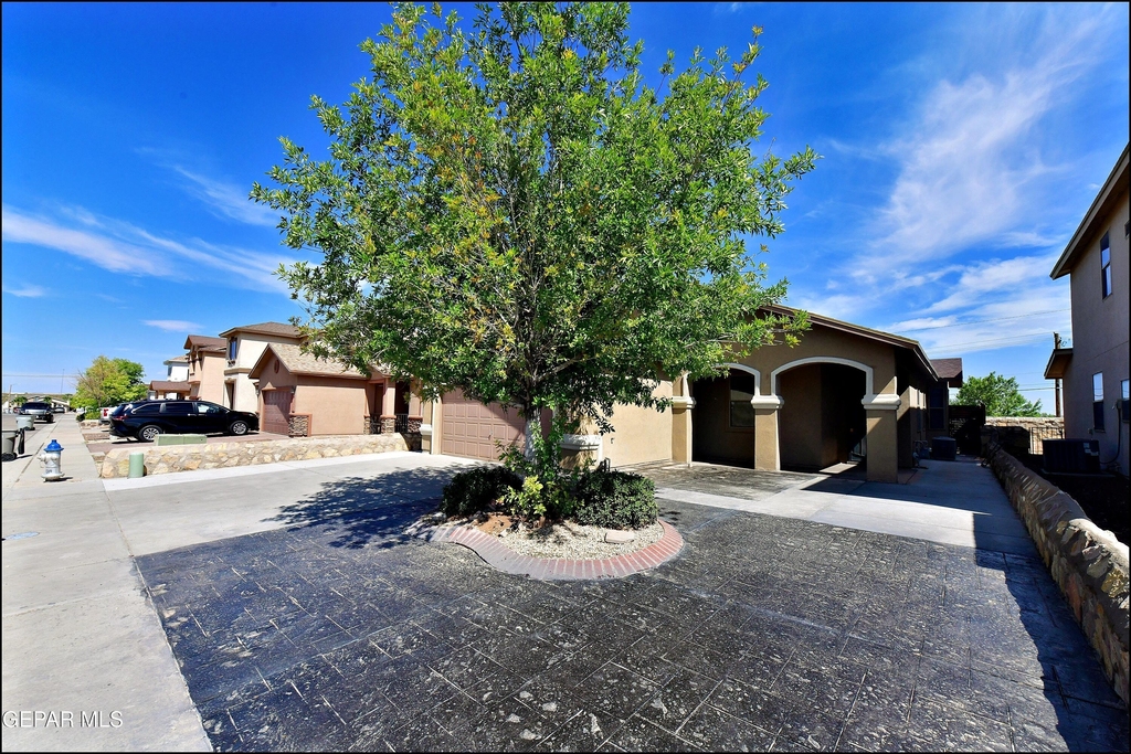 12569 Wolf Berry Drive - Photo 0