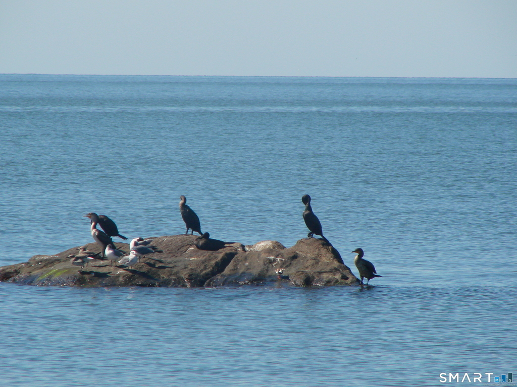 9 Red Bird Trail - Photo 17