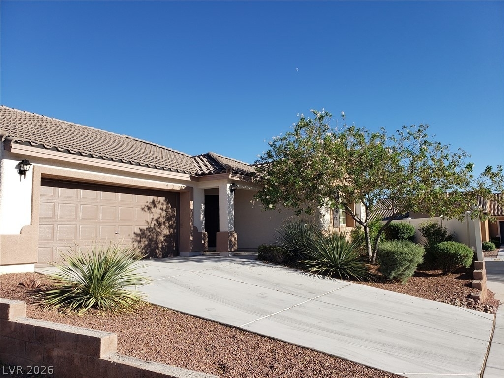 7876 Crownbeard Street - Photo 3