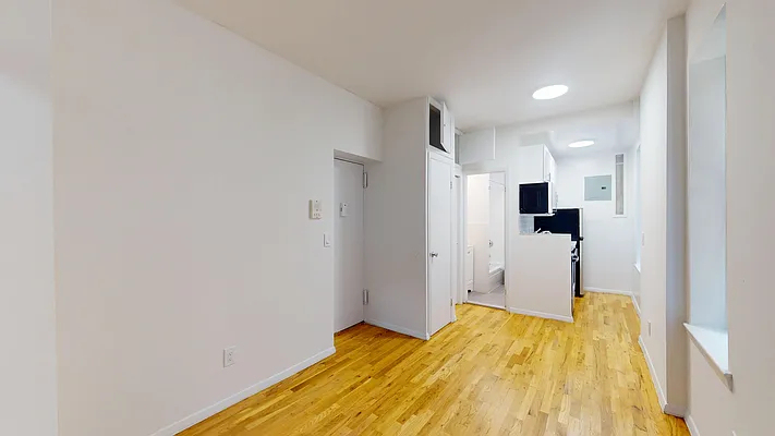 425 East 65th Street - Photo 3