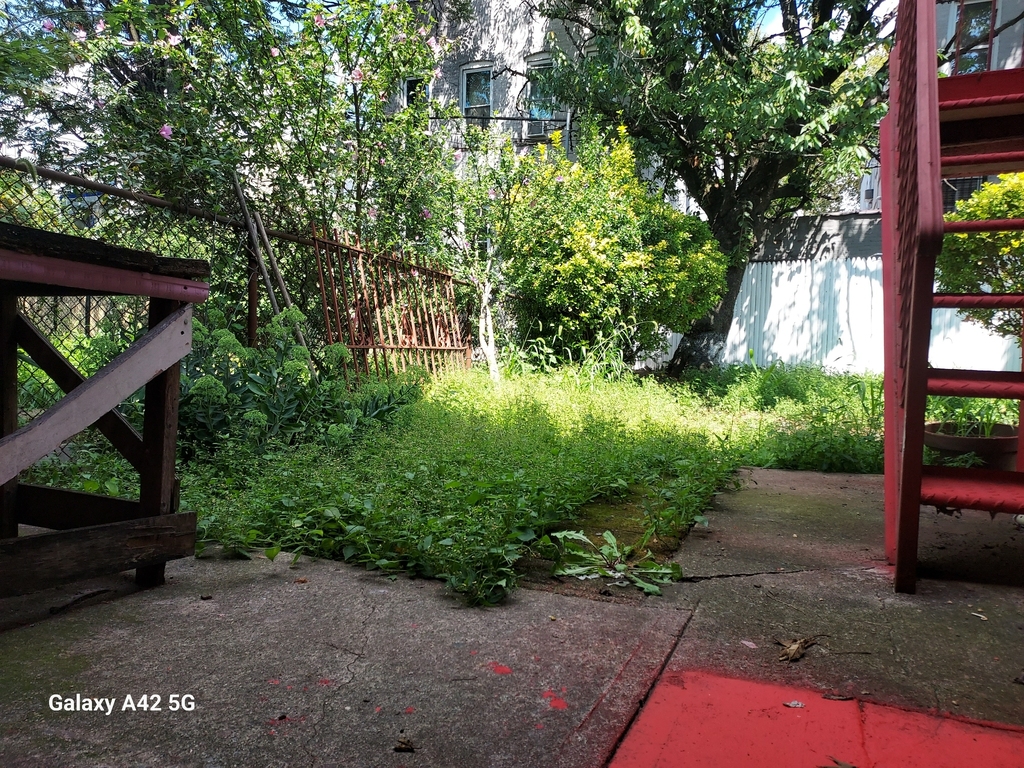 East Flatbush - Photo 5