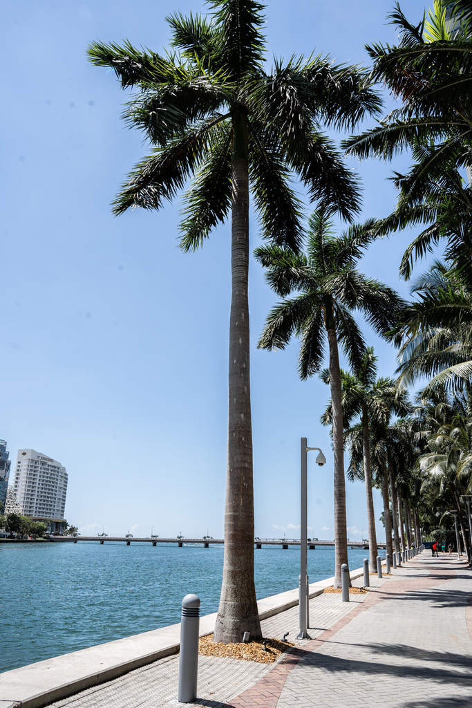 465 Brickell Avenue - Photo 83