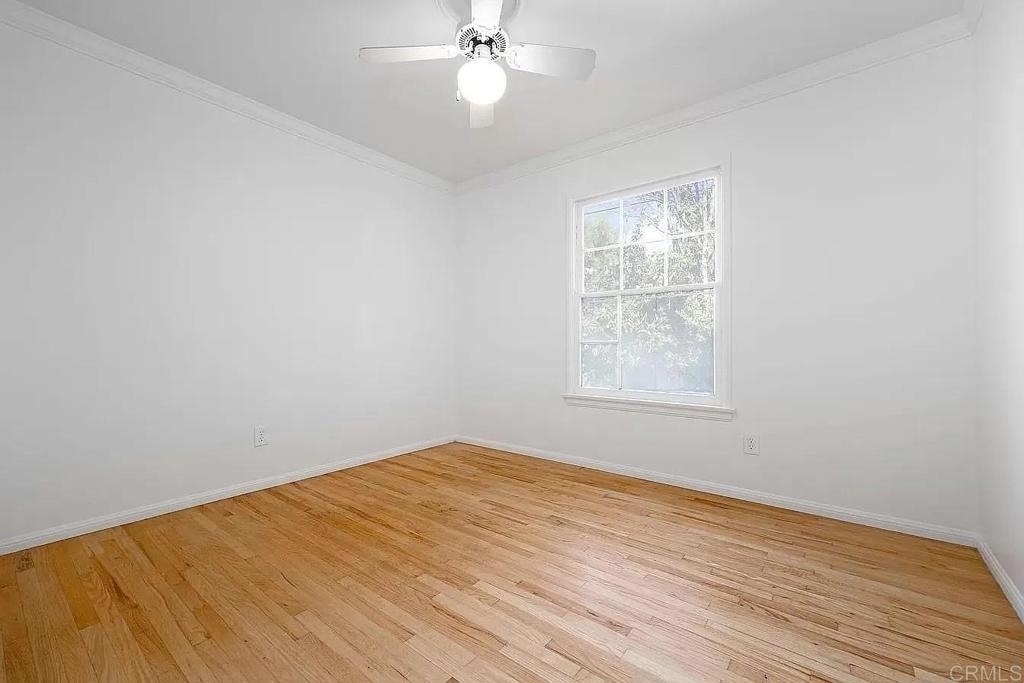 6985 Wisconsin Avenue - Photo 9