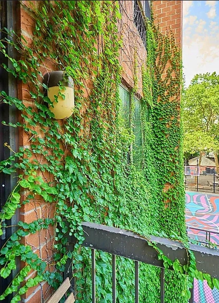 337 W 43rd Street - Photo 6