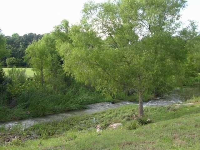 1 Chandon Ln - Photo 23