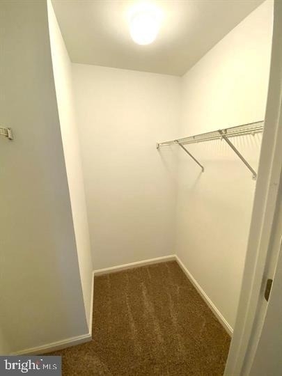 18003 Cloppers Mill Terrace - Photo 14