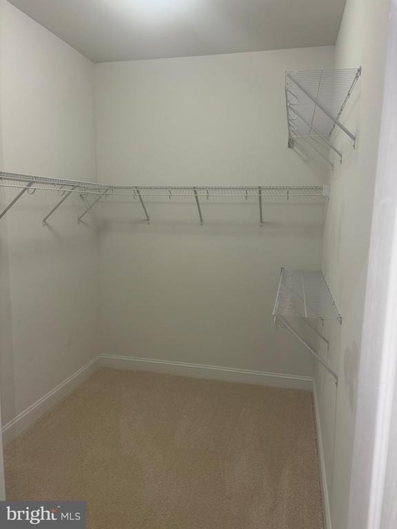 1906 Porter Road - Photo 9