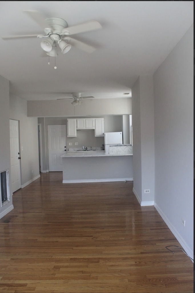 1303 W Ohio Street - Photo 1