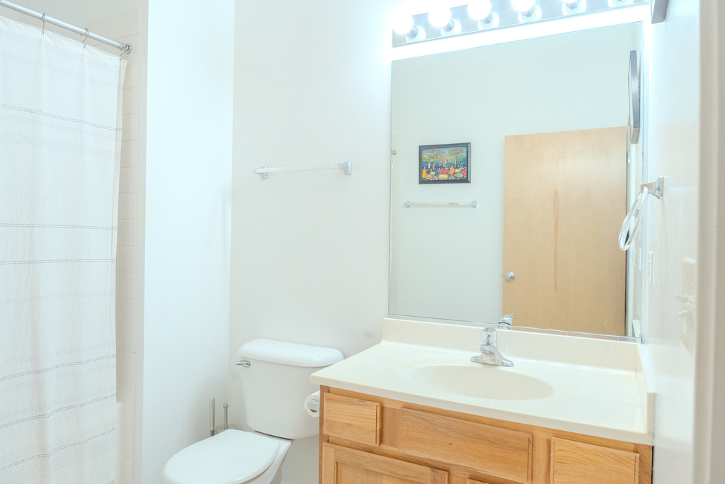 2915 N Clybourn Avenue - Photo 17