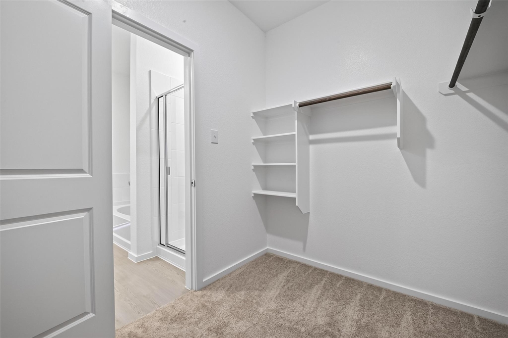 24657 Monarch Forest Drive - Photo 28