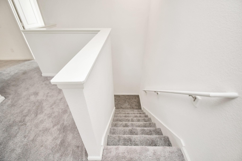 7810 Carrotwood Court - Photo 19