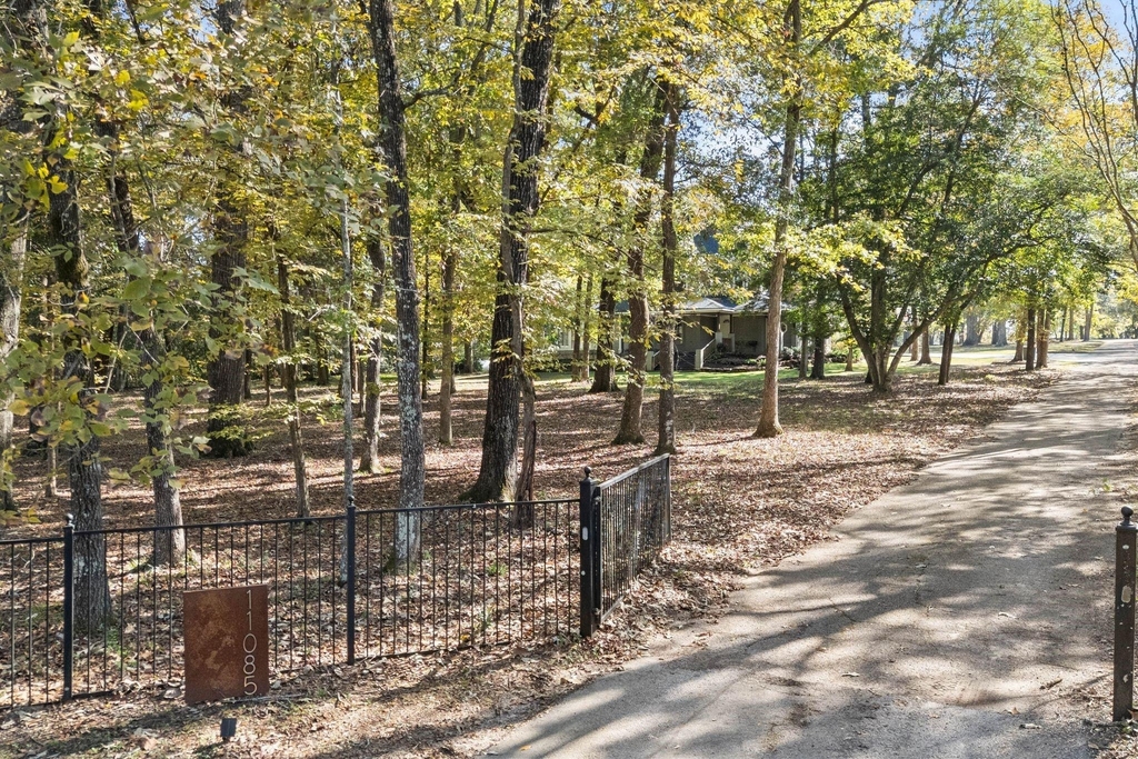 11085 Jake Pearson Road - Photo 3