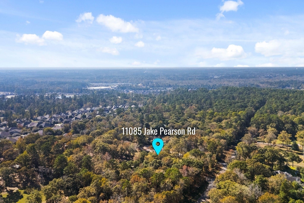 11085 Jake Pearson Road - Photo 49